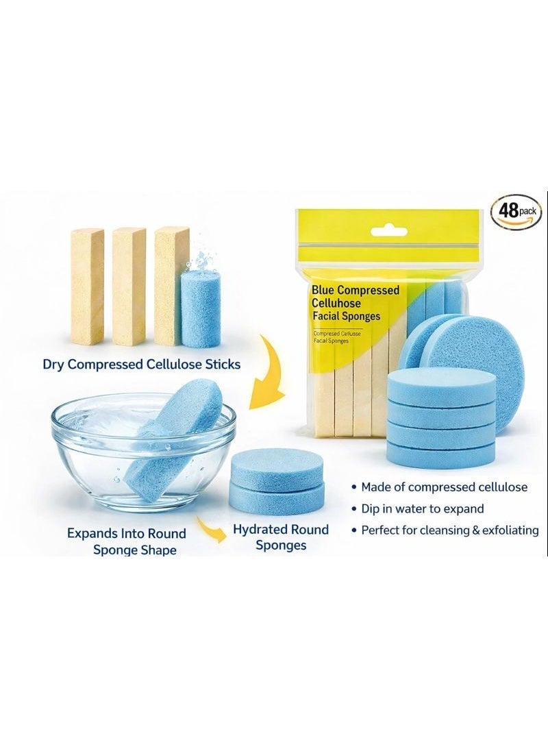 JAGRAVO Compressed Expanding Face Sponges, 12 Pieces (Pack of 1) - Image 3